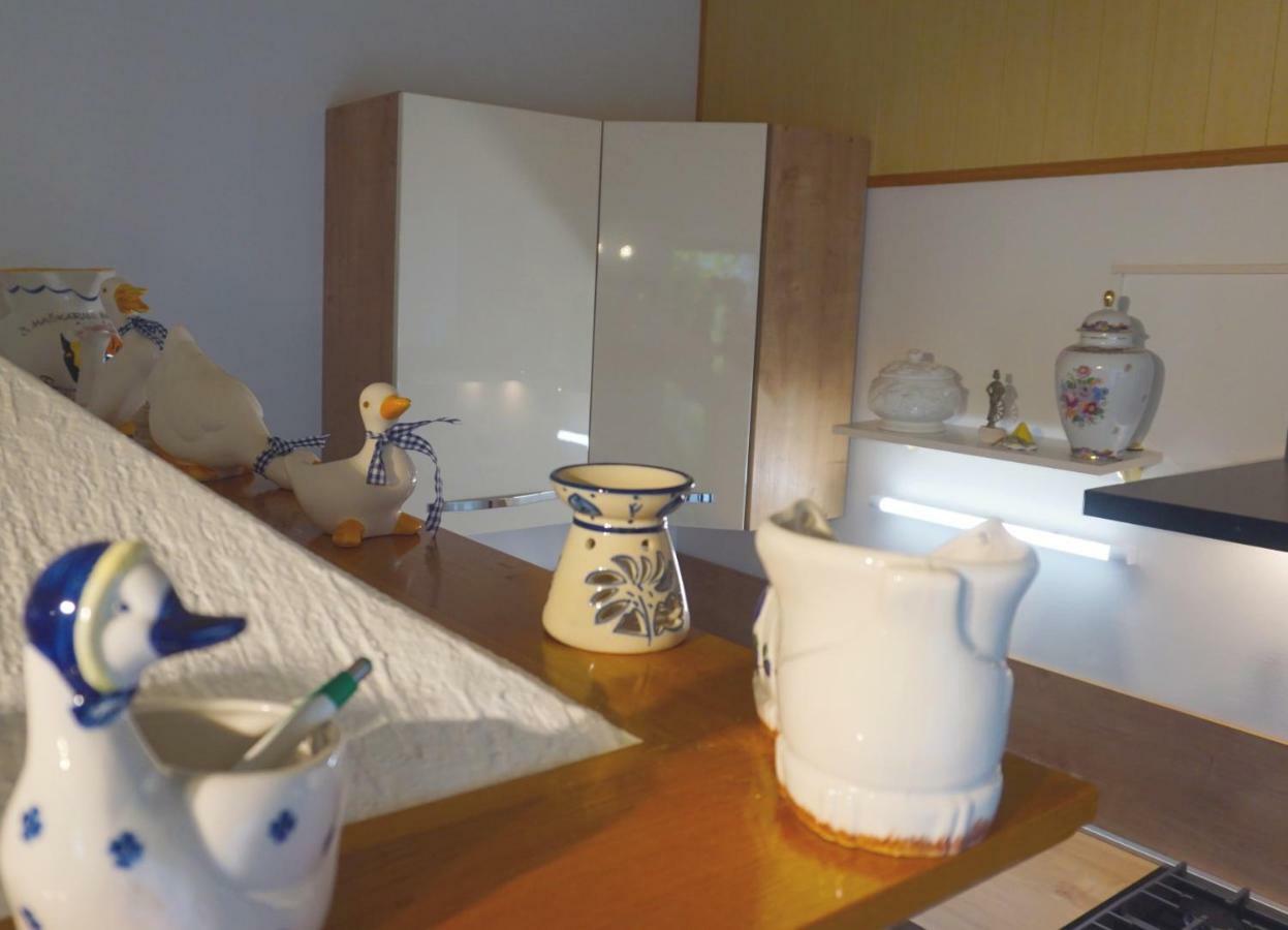 Antonio Apartment 2 Ровин Екстериор снимка